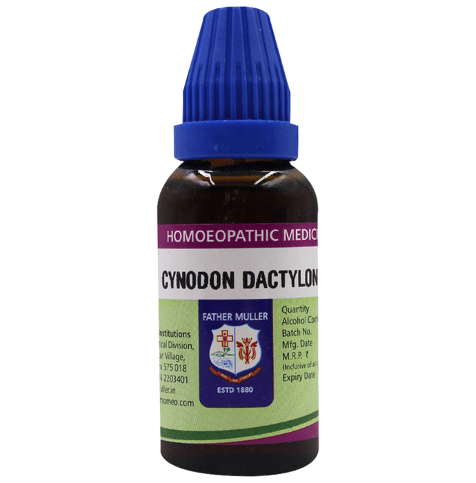 Father Muller Cynodon Dactylon Drop Q