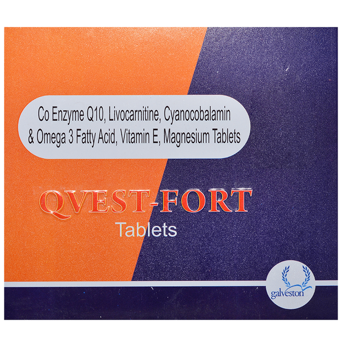 Qvest-Fort Tablet