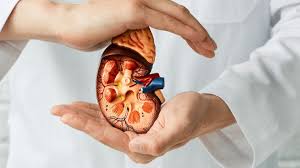 Nephrology