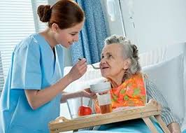 Day Care Services